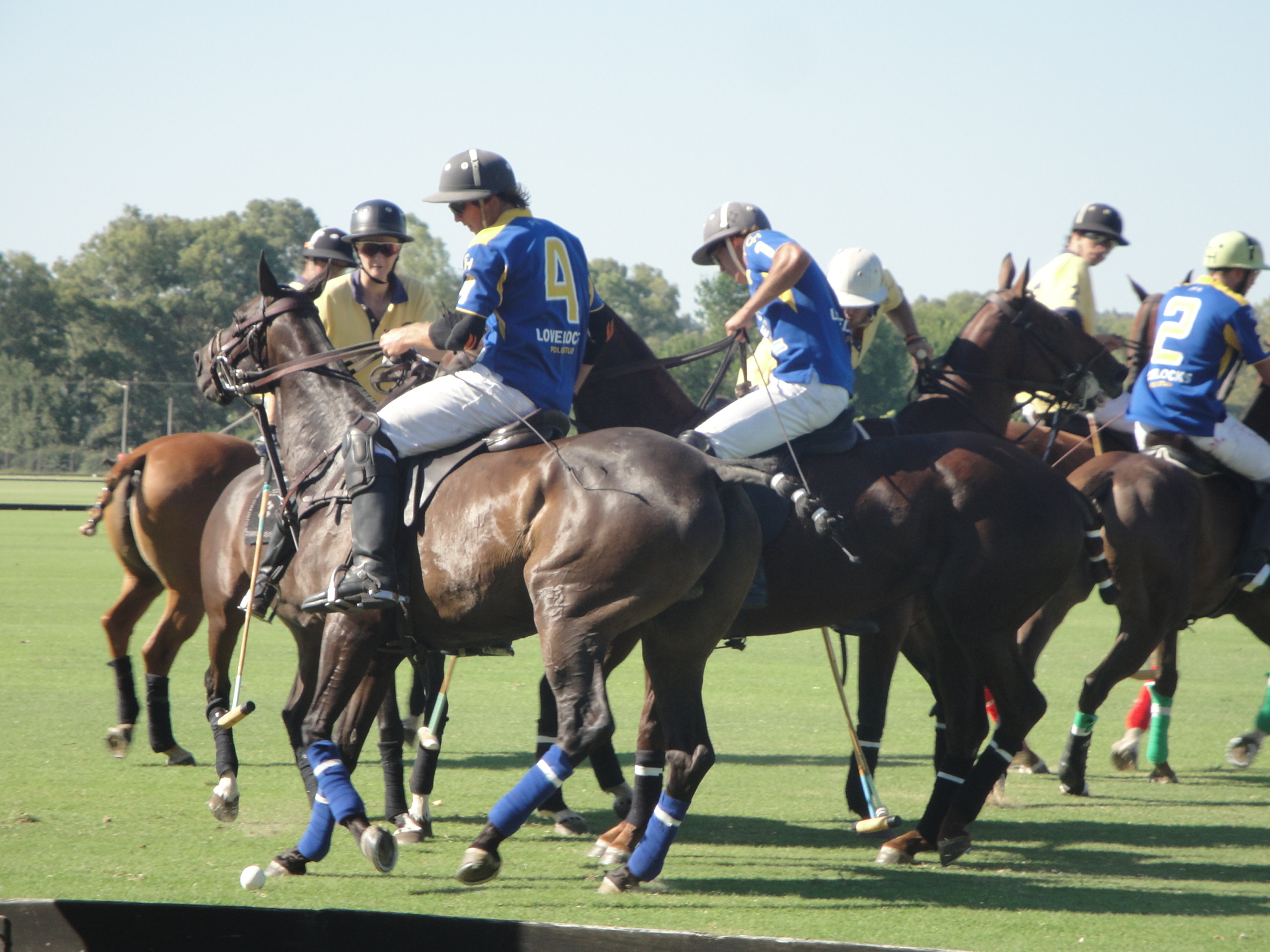 Gold Cup British Open Polo