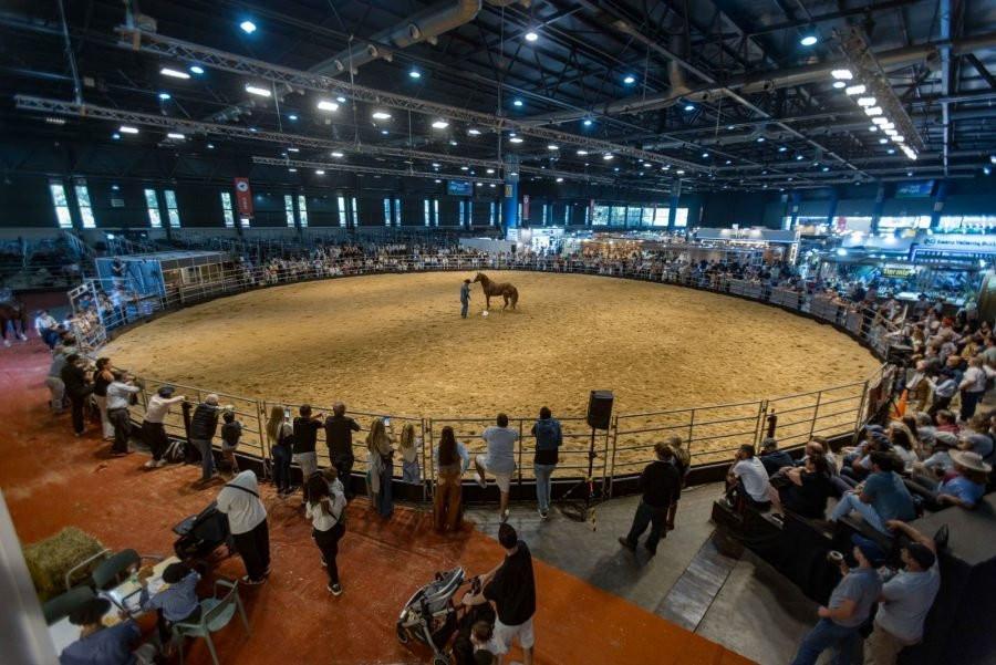 polo en La Rural de Palermo 2
