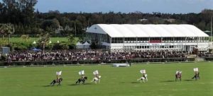 historia del Polo en España