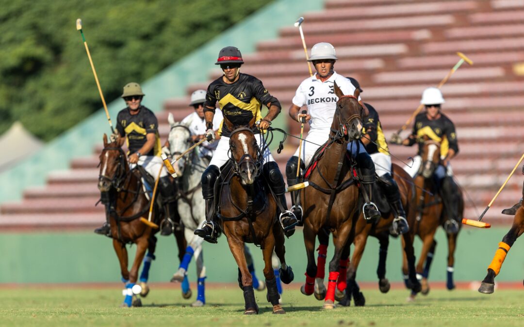 Haras del Sur Polo Cup 2026: alto nivel competitivo y final en Palermo